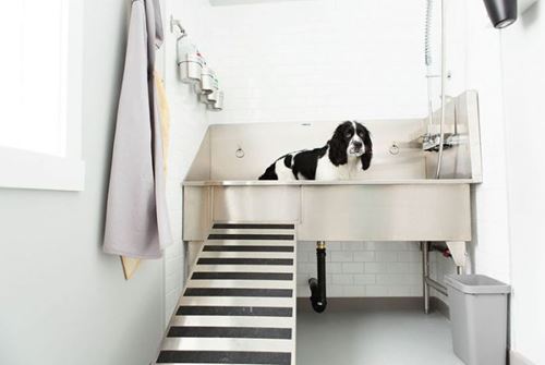 Stainless Steel Dog Grooming Sinks - Download Free CAD Drawings, BIM Models, Revit, Sketchup, SPECS and more.
